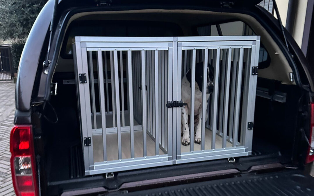 Kennel da auto per cani: perché l’alluminio è la scelta migliore